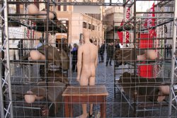 ricostruzione cella com'è oggi 