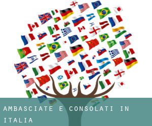 ambasciate e consolati in Itali