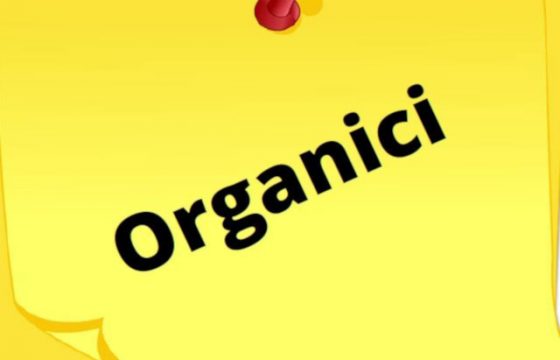 VVF: Dipartimento – Decreto piante organiche